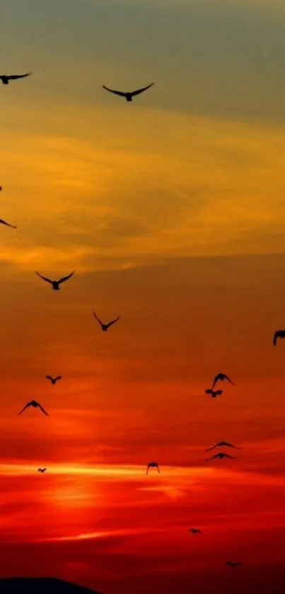 Mobile wallpaper of birds flying during a vibrant sunset with orange skies.