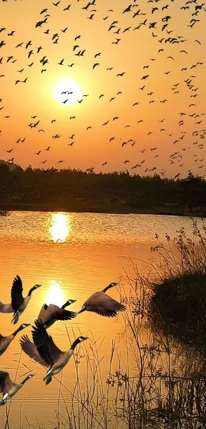 Flock of birds flying over a sunset-lit lake.