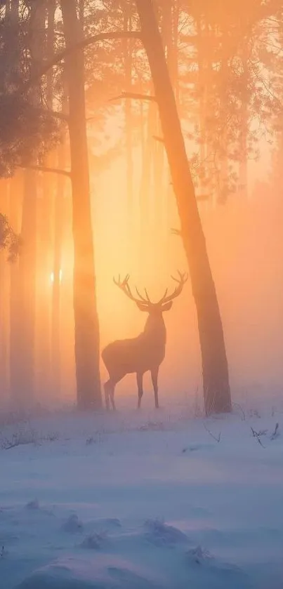 Majestic deer in a sunset-lit forest with mist and snow creating a serene ambiance.