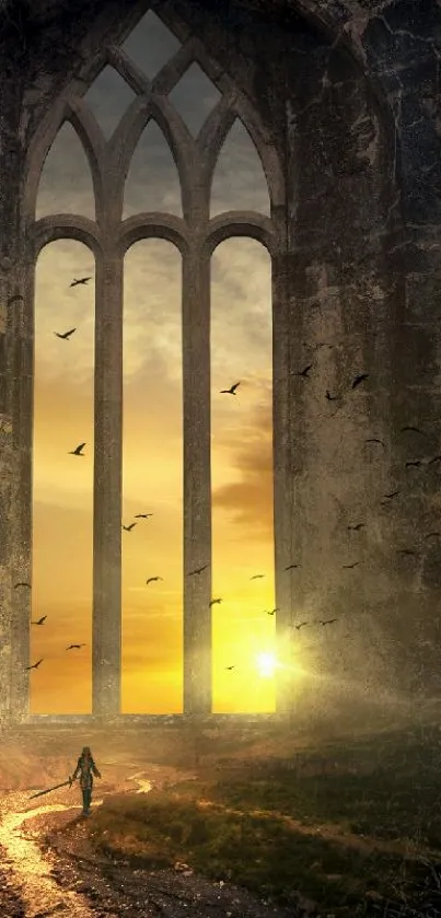 Gothic cathedral with sunset light through arches and birds flying.