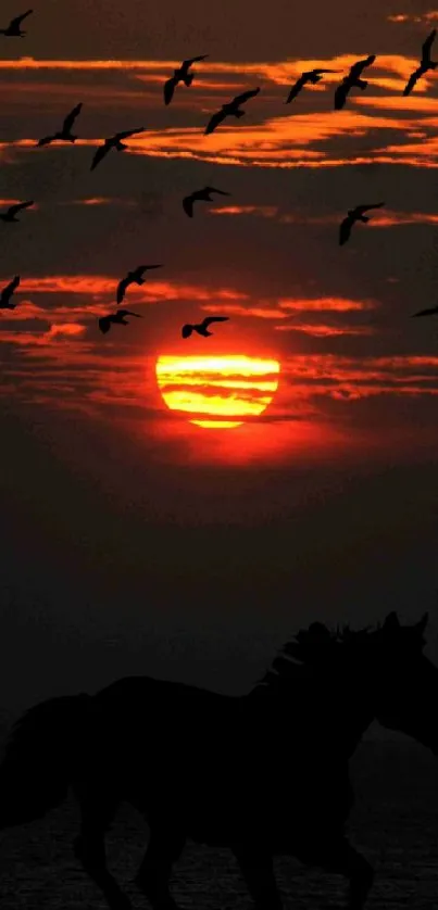 Silhouetted horse and birds near sunset with vibrant orange sky and dark clouds.