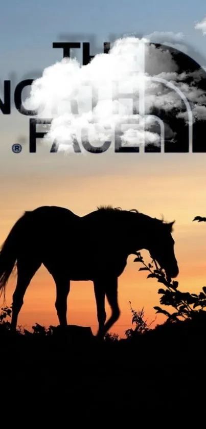 Horse silhouette against a colorful sunset with sky and clouds.