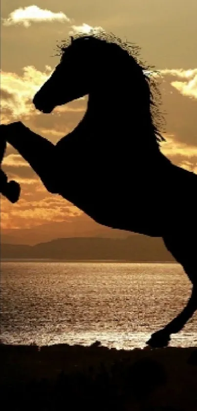 Horse silhouette at sunset over the ocean.