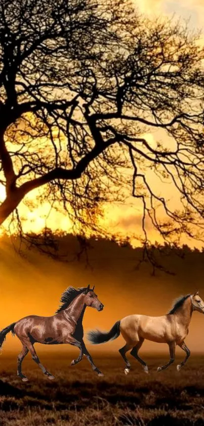 Two horses run under a tree at sunset with a golden sky backdrop.