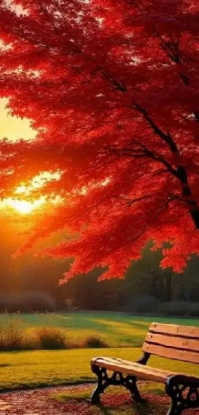 A serene park scene with a bench under red autumn leaves at sunset.
