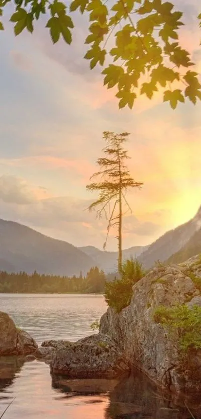 Lone tree by lake at sunset with mountains.