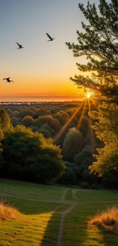 A serene landscape wallpaper with sunset, trees, and flying birds.