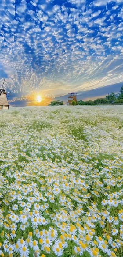 Windmills at sunset with daisies in a scenic meadow.