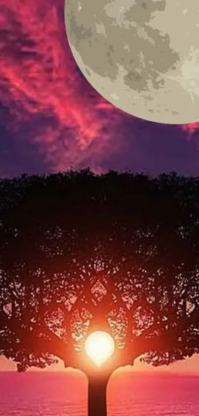 A tranquil sunset wallpaper featuring a moonlit tree silhouette.