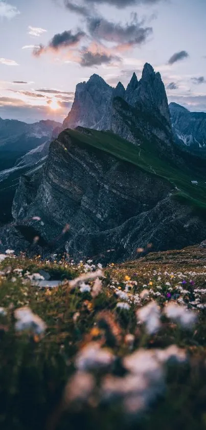 Scenic sunset over rugged mountain peaks with wildflowers in the foreground.