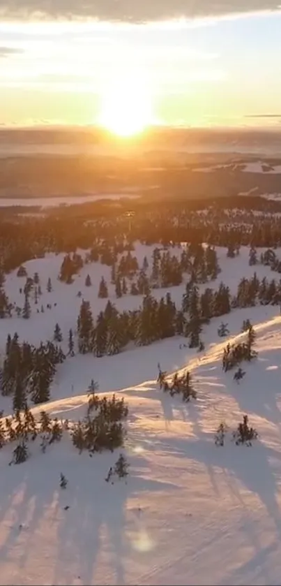 Winter mountain sunset with snowy trees and golden sky.