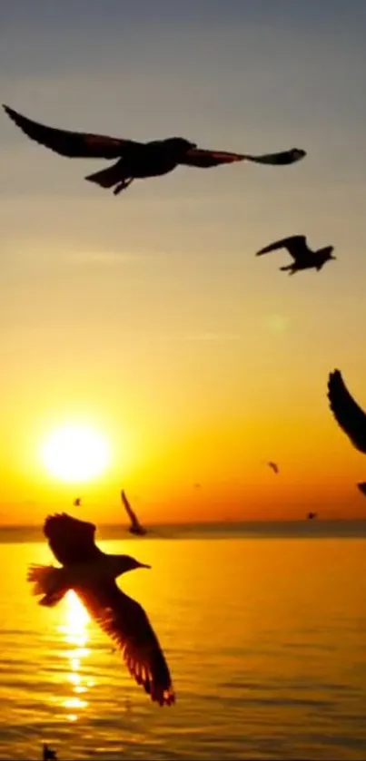 Sunset with flying birds over calm ocean waters.