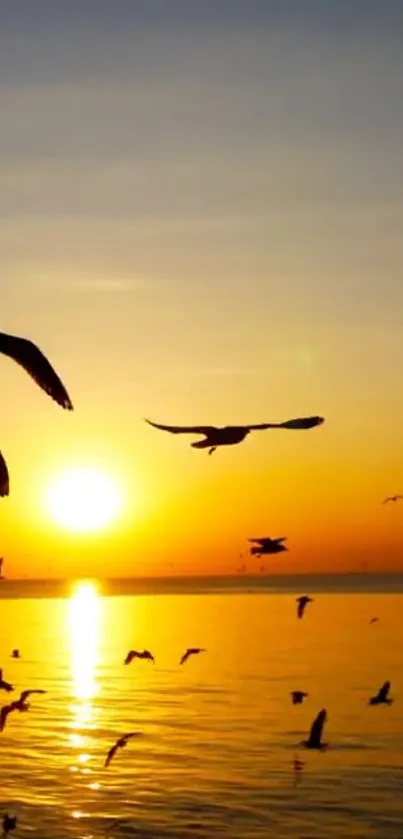 Sunset ocean view with birds silhouetted against an orange sky.