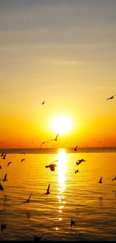 Golden sunset over ocean with flying birds.