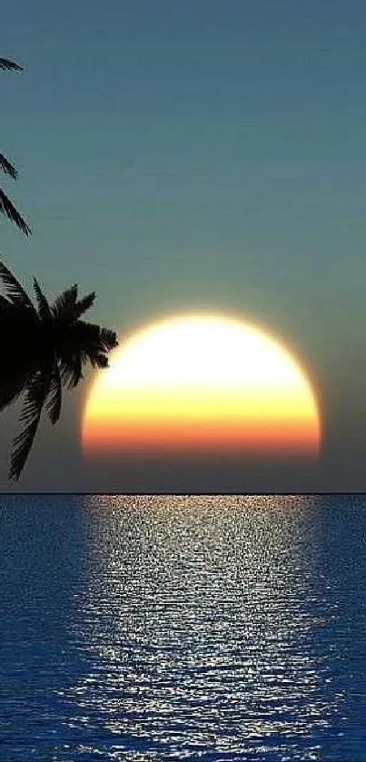 A gorgeous sunset over a tranquil ocean with silhouetted palm trees.