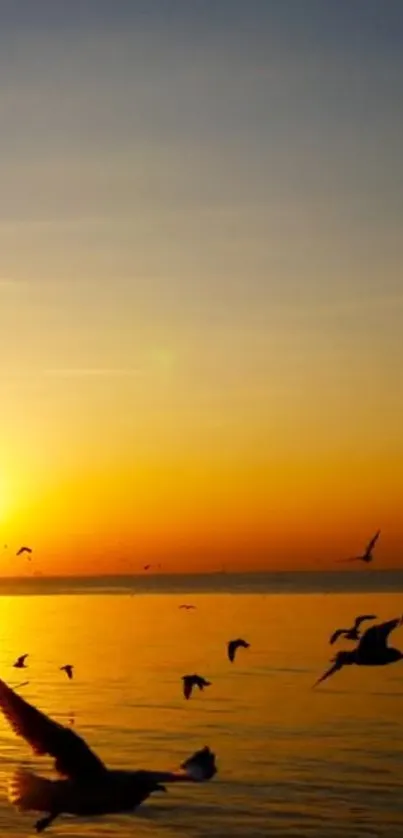 Silhouetted birds flying over the ocean at sunset.