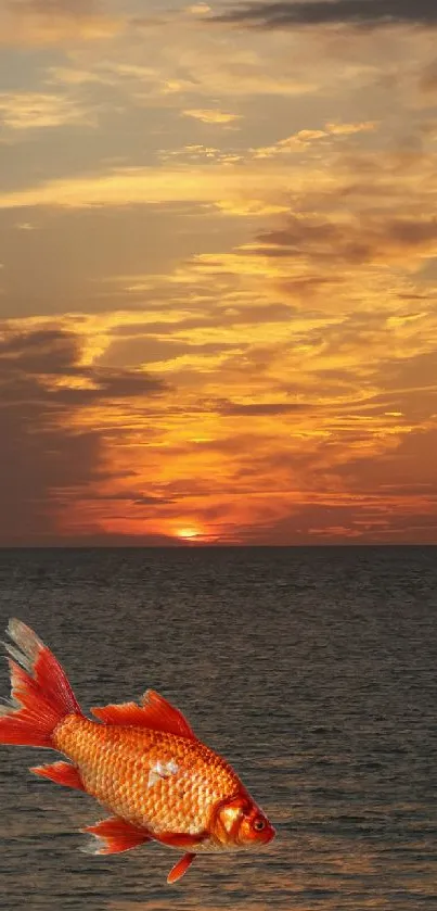 Orange goldfish in front of a vibrant ocean sunset.