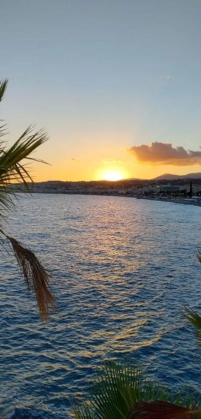 Vibrant sunset over ocean with palm trees outlining the horizon.