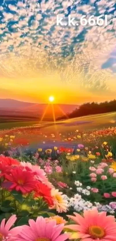 Sunset over a vibrant flower field and colorful sky.