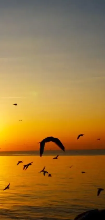 Birds flying over ocean at sunset.