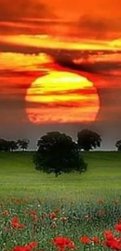 Vibrant sunset over lush green fields with trees silhouetted.