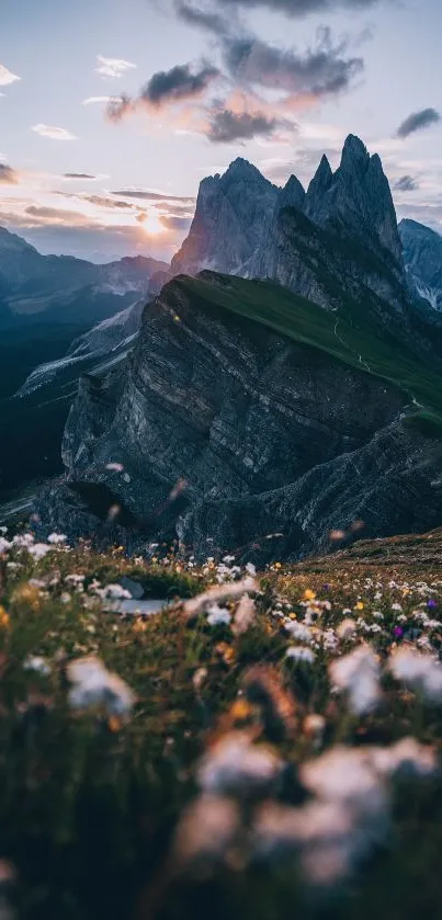 Breathtaking sunset over sharp mountain peaks with wildflowers in the foreground.