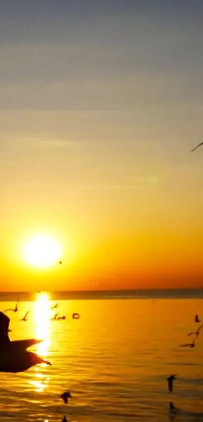 Golden sunset over ocean with birds in flight and shimmering horizon.