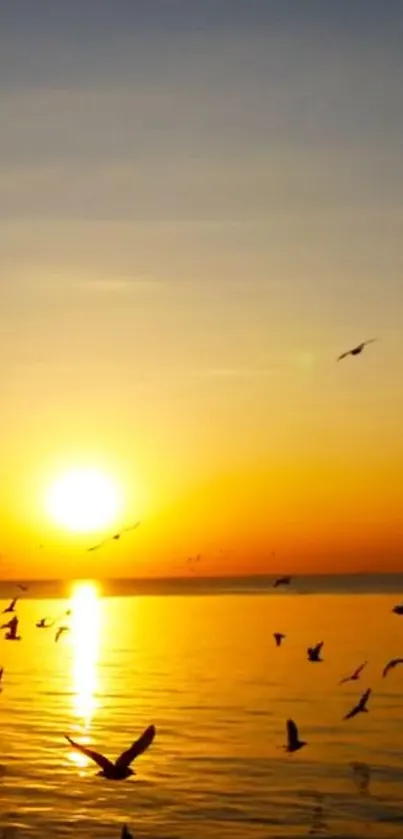 Sunrise over the ocean with birds flying.