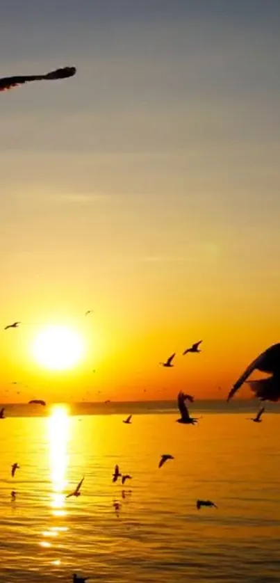 Beautiful sunset over the ocean with birds flying.