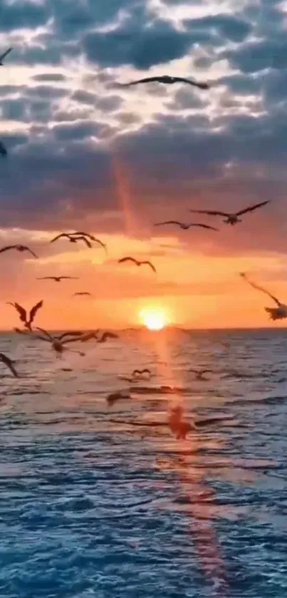 Flying seagulls over a vibrant ocean sunset horizon with colorful sky.