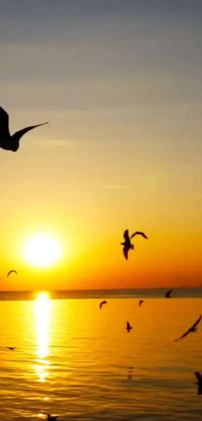 Sunset over ocean with flying seagulls and vibrant orange sky.