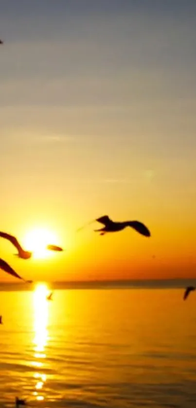 Silhouettes of birds soaring over an ocean at sunset with a vibrant orange sky.