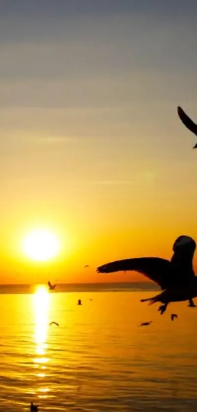 Golden sunset over ocean with birds.