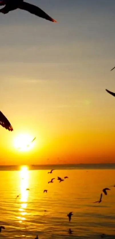 Sunset with birds flying over the ocean.