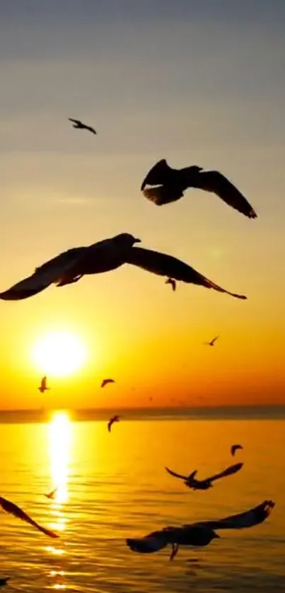 Birds fly over the ocean at sunset with vibrant colors.