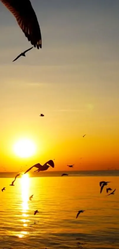 Sunset over ocean with birds flying gracefully.