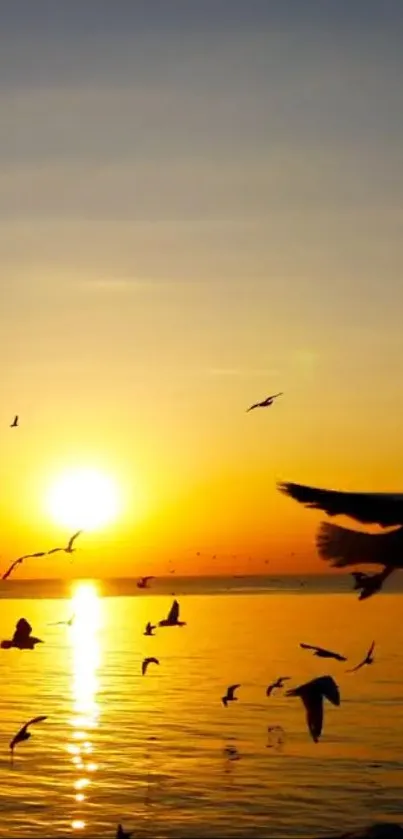 Silhouetted birds flying over ocean at sunset with orange sky.