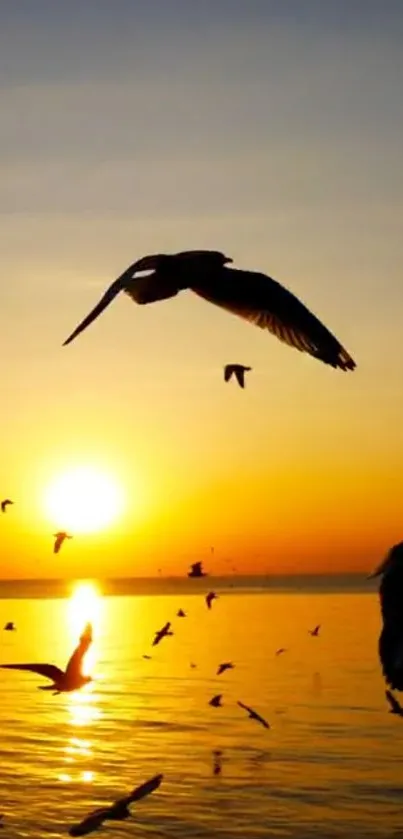 Silhouette of birds flying over the ocean at sunset with orange sky.