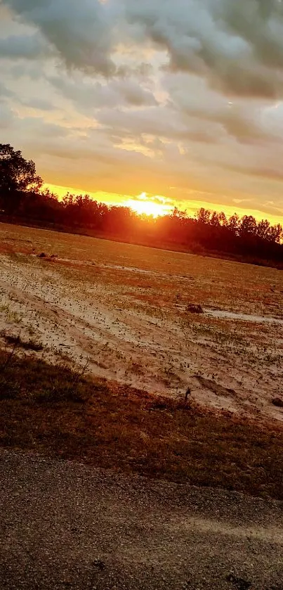 Sunset over a tranquil field, with vibrant orange skies.