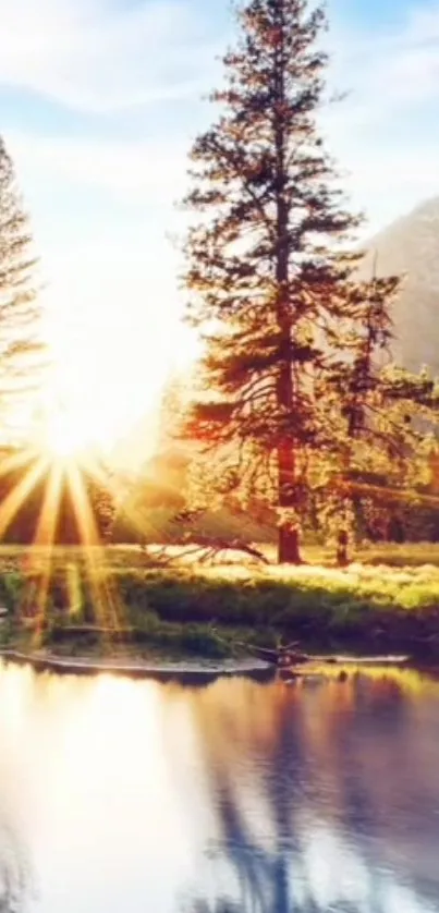 Peaceful lake and trees at sunset with warm, glowing sunlight.