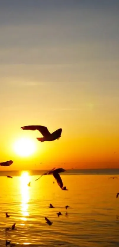 Sunset over ocean with birds flying, creating a serene and tranquil scene.