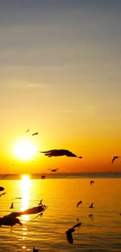 Sunset over ocean with birds silhouettes in vibrant orange sky.