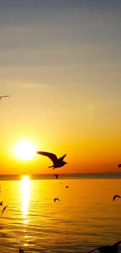 Golden sunset over ocean with birds flying.