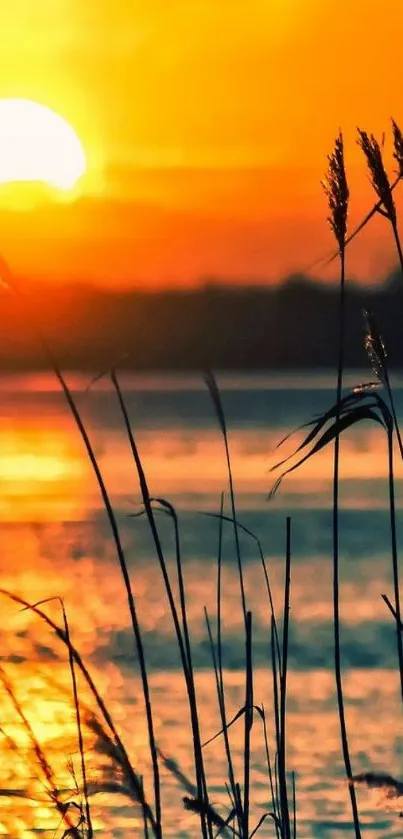 Silhouette of grass against a vibrant orange sunset over serene water.