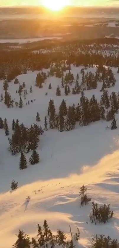 Golden sunset over a snowy forested landscape with rolling hills.