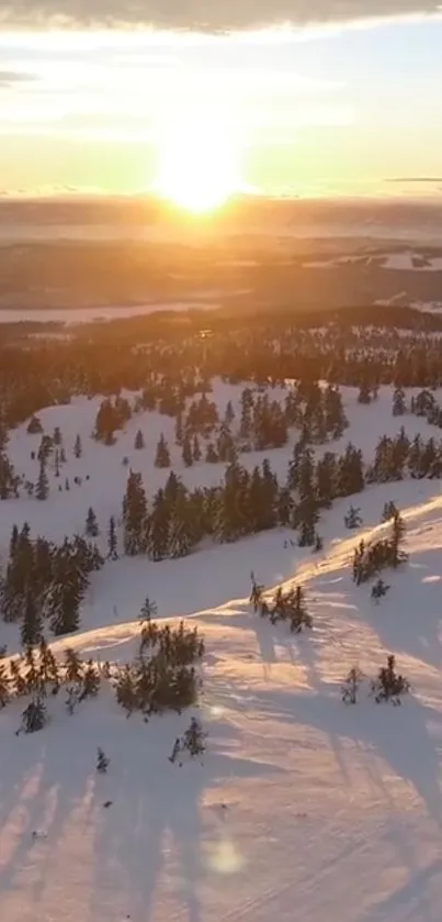 Sunset casting shadows over snowy mountain landscape.