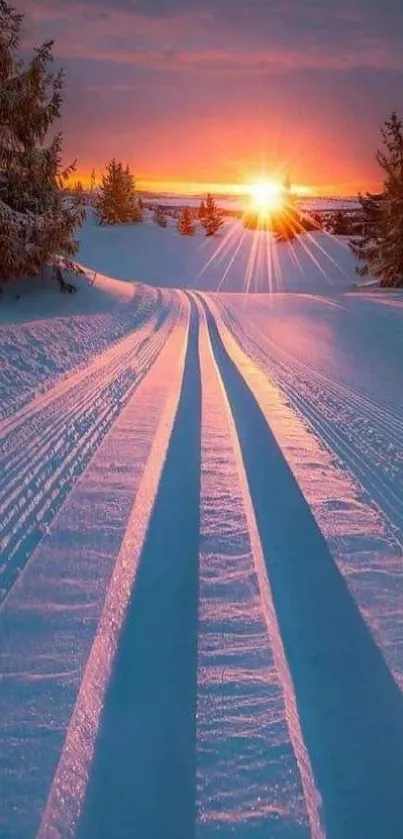 Snowy trail with sunset and pine trees in winter landscape.