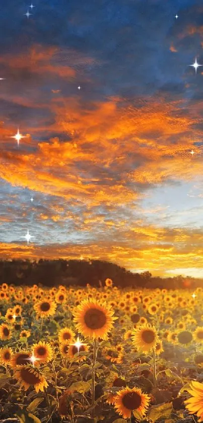 Sunset over a field of sunflowers with vibrant sky.