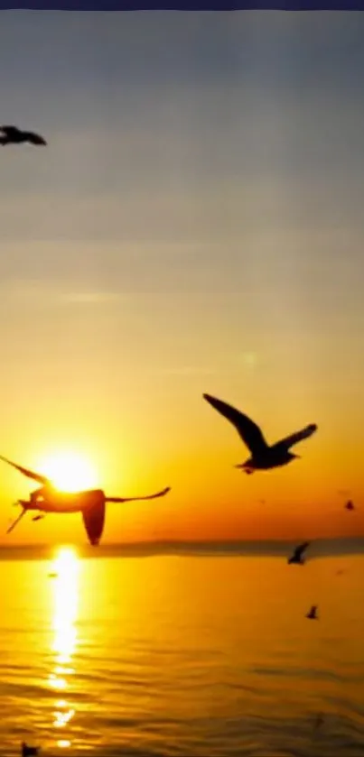 Stunning sunset over the sea with birds flying in the sky, creating a serene scene.