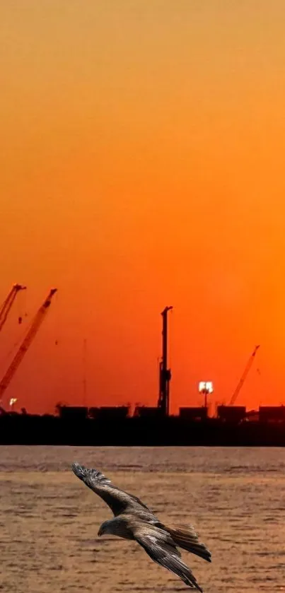 Eagle flies over water at sunset with silhouetted cranes in the background.